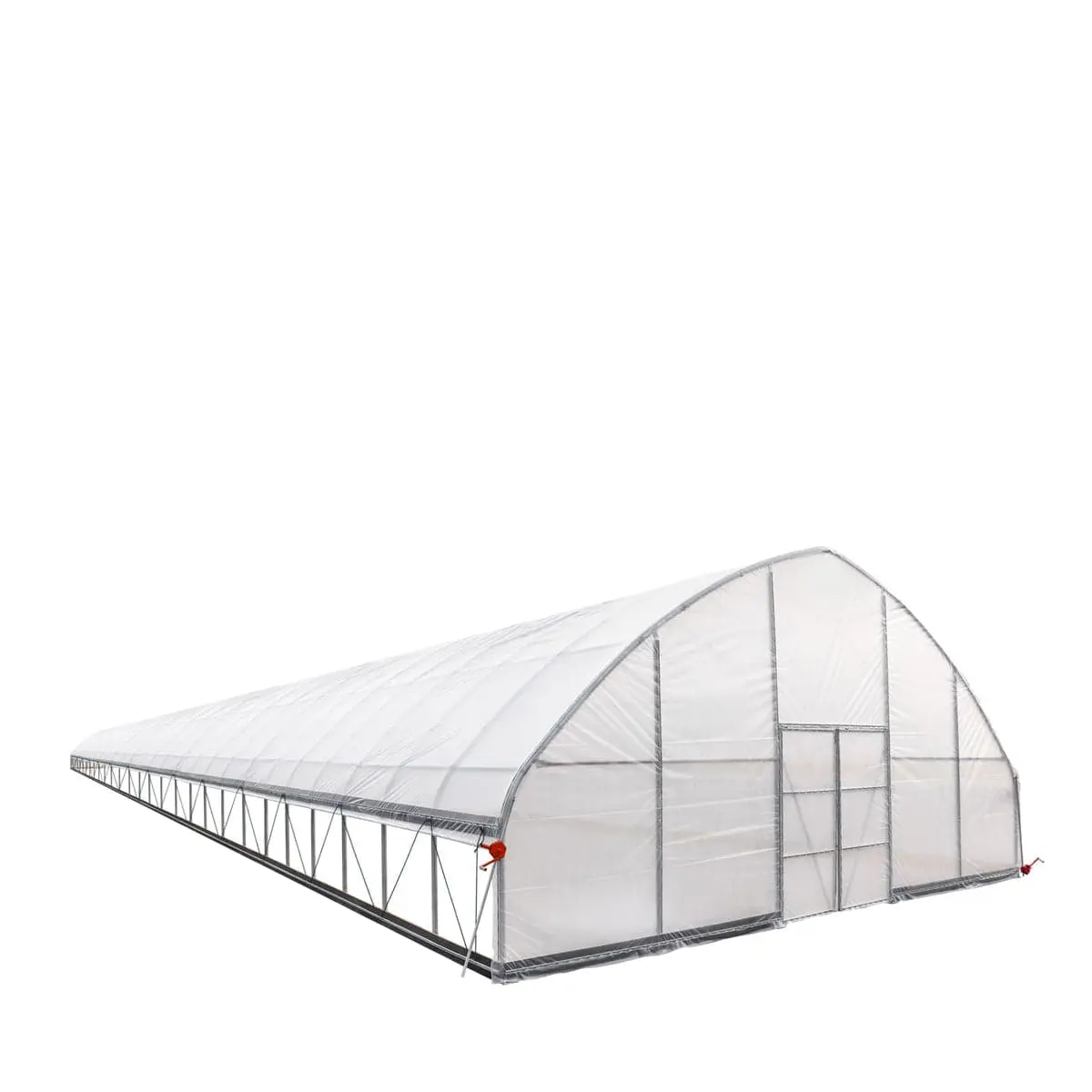 30' x 120' Commercial Tunnel Greenhouse with 6 Mil Clear Poly Covers and Roll-Up Sides TMG-GH30120 - Image 3
